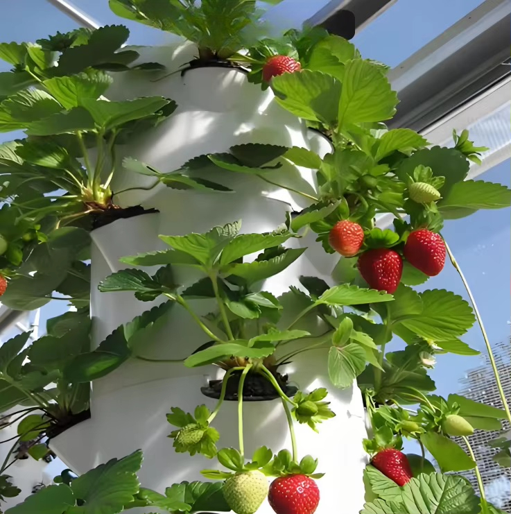 Modüler hidroponik büyüme duva - Urban Farming Gardening incelemesi ve fiyatı