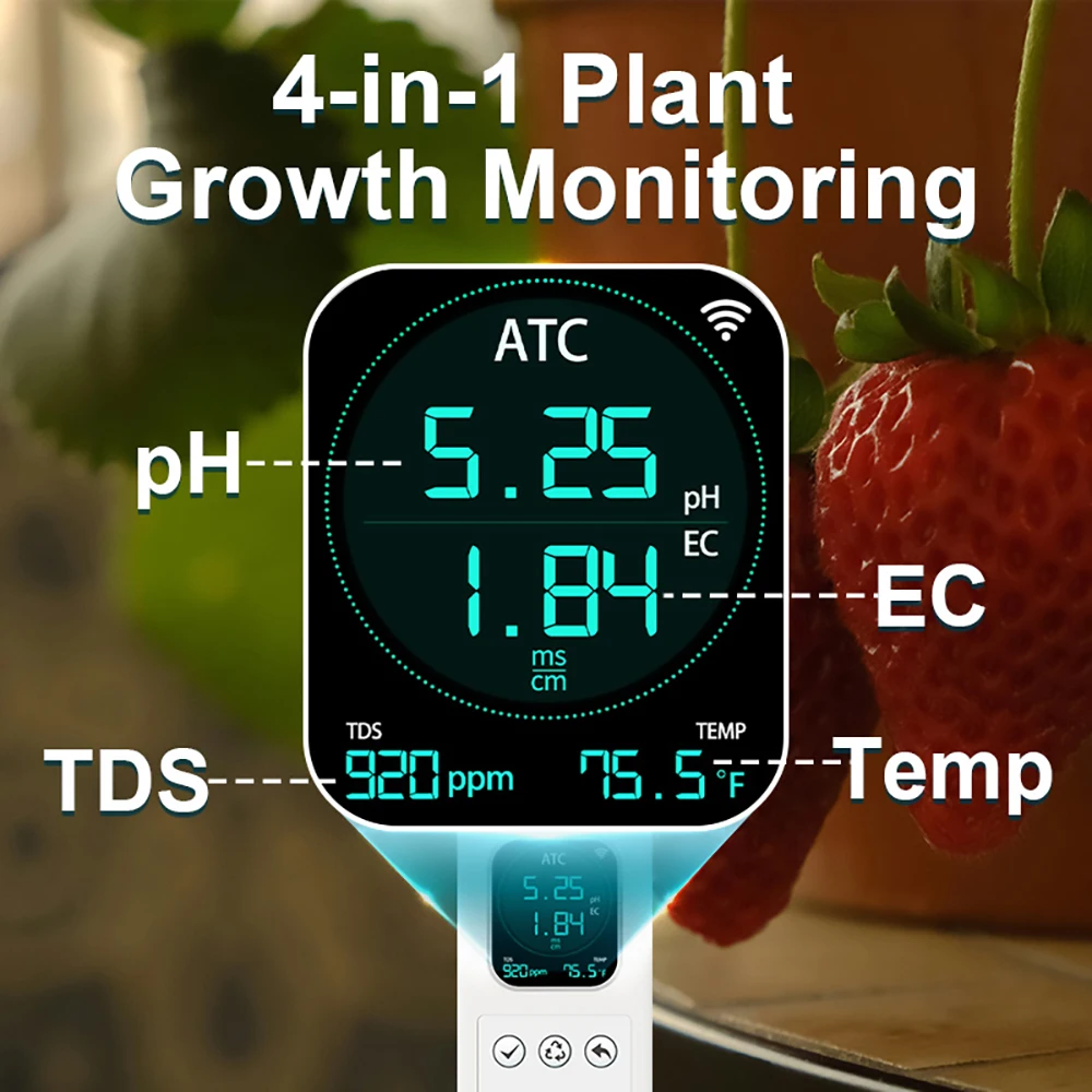 Kactoily 4'ü 1 Arada WiFi Sens - Urban Farming Gardening incelemesi ve fiyatı
